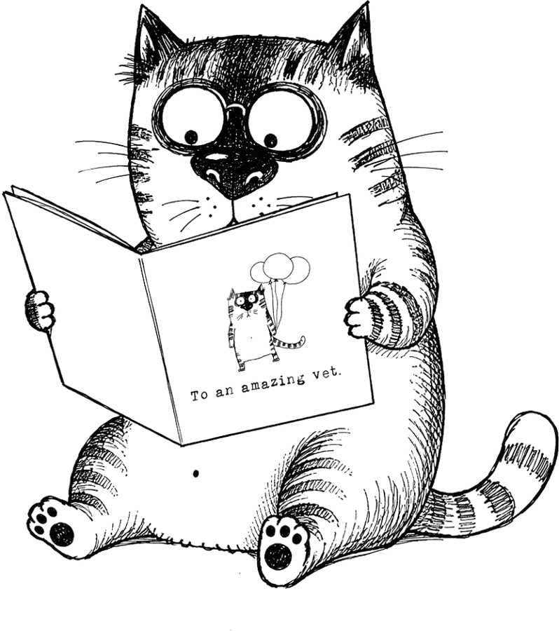 Hand-drawn cat illustration for to an amazing vet student gift book